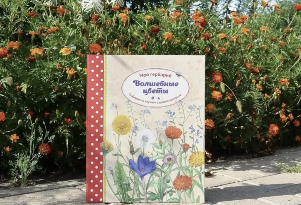 Снимок экрана 2025-06-16 в 5.38.12 PM.png